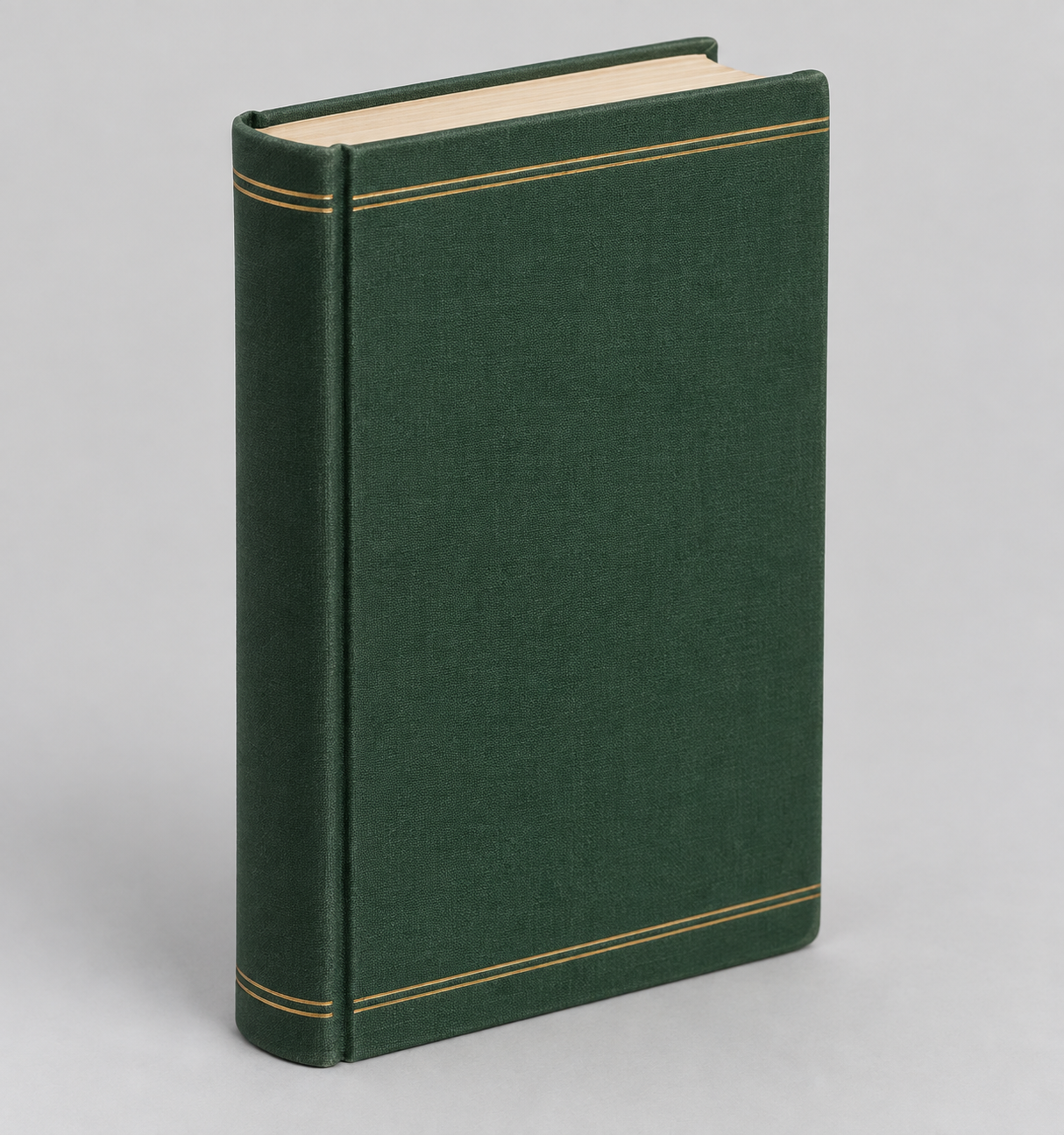 Generated reference art for Little Light Library shelf book